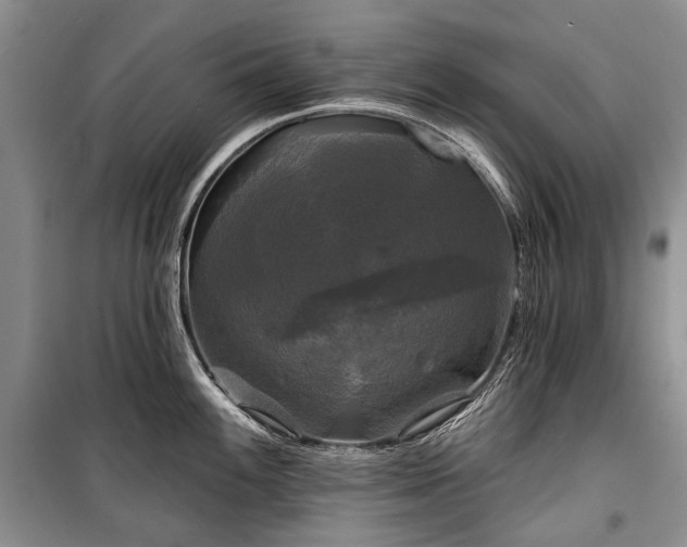 X0000100371100200806131032