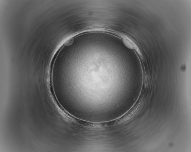 X0000100371101200806131032