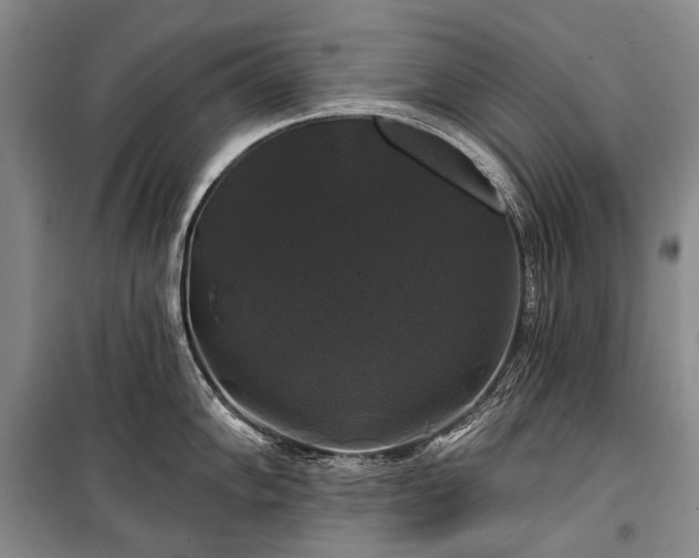 X0000100371102200806131032