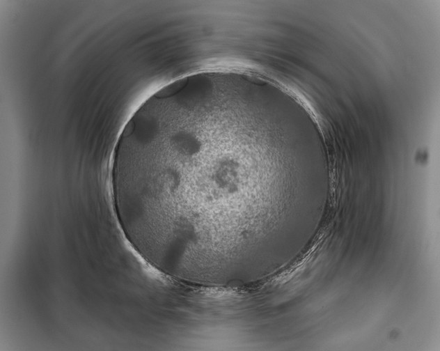 X0000100371103200806131032