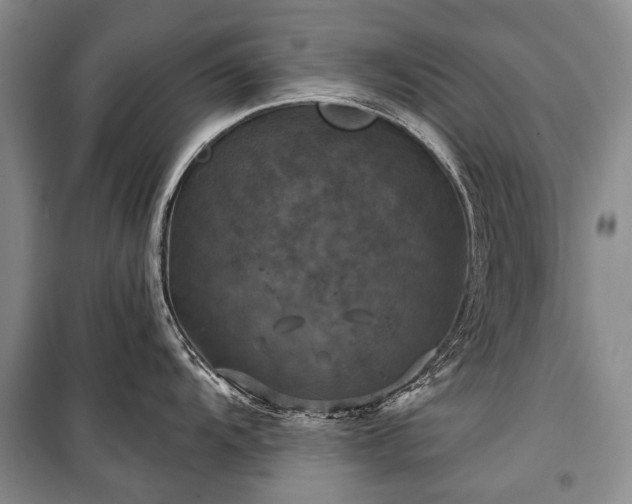 X0000100371104200806131031