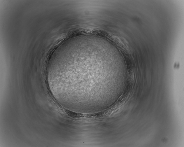 X0000100371105200806131031