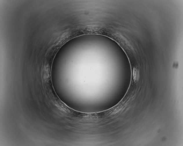 X0000100371107200806131031