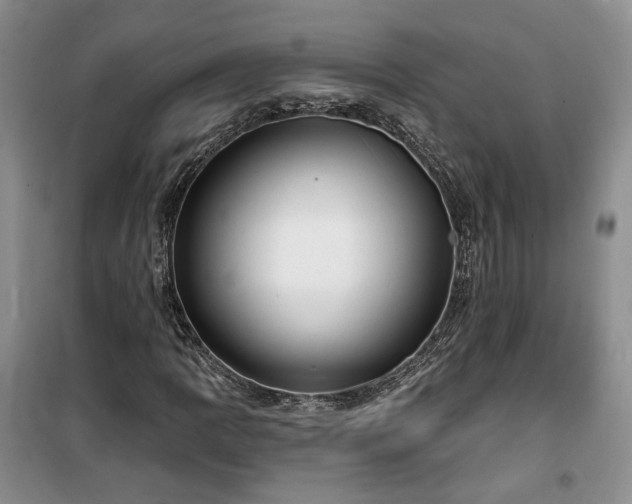 X0000100371109200806131031