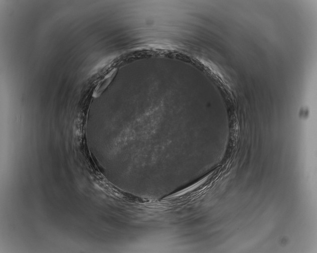 X0000100371110200806131031