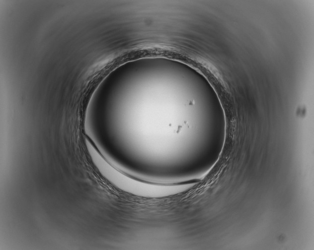 X0000100371111200806131031