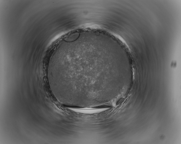 X0000100371112200806131031