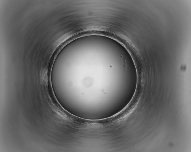 X0000100371113200806131031