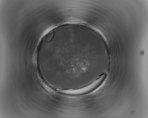 X0000100371114200806131031