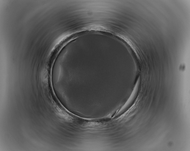 X0000100371115200806131031