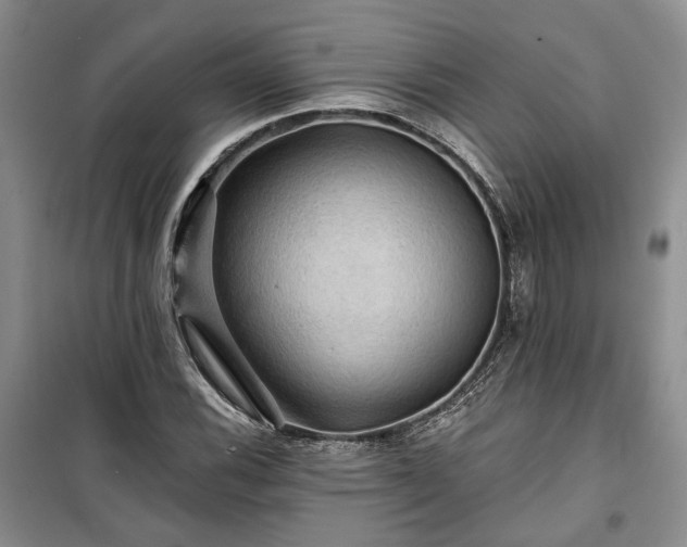 X0000100371116200806131031