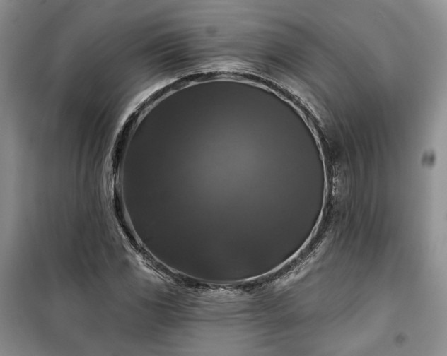 X0000100371117200806131031