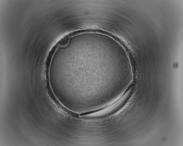 X0000100371118200806131031