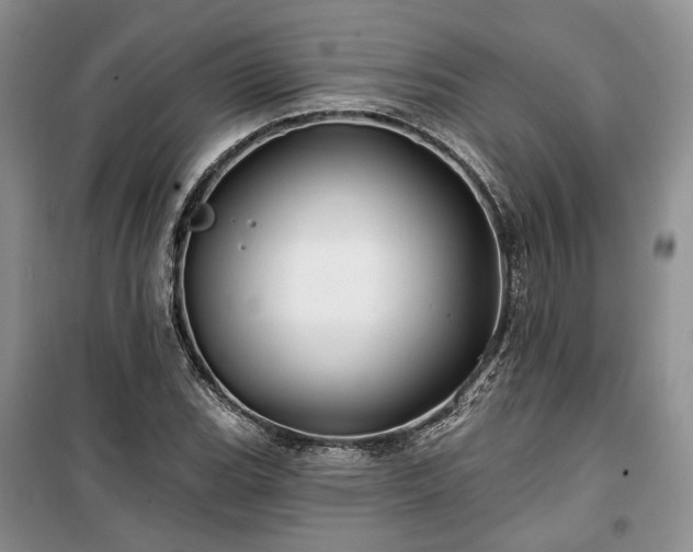 X0000100371119200806131031