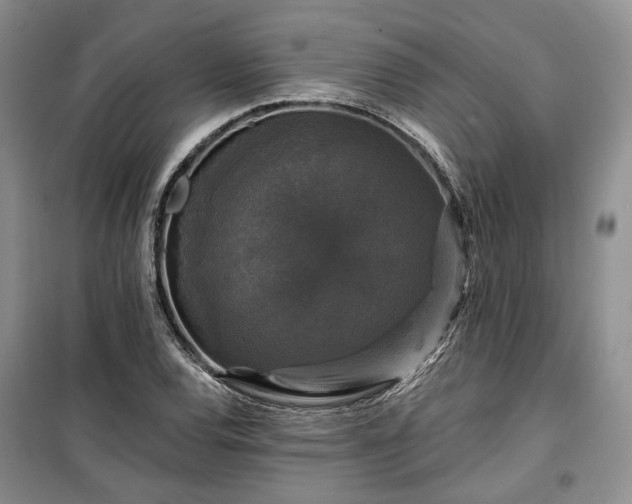 X0000100371120200806131031