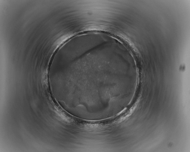 X0000100371121200806131031