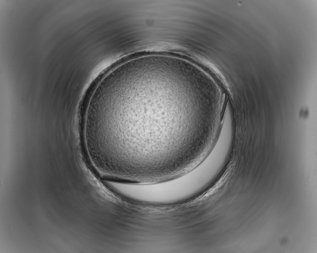 X0000100371122200806131031