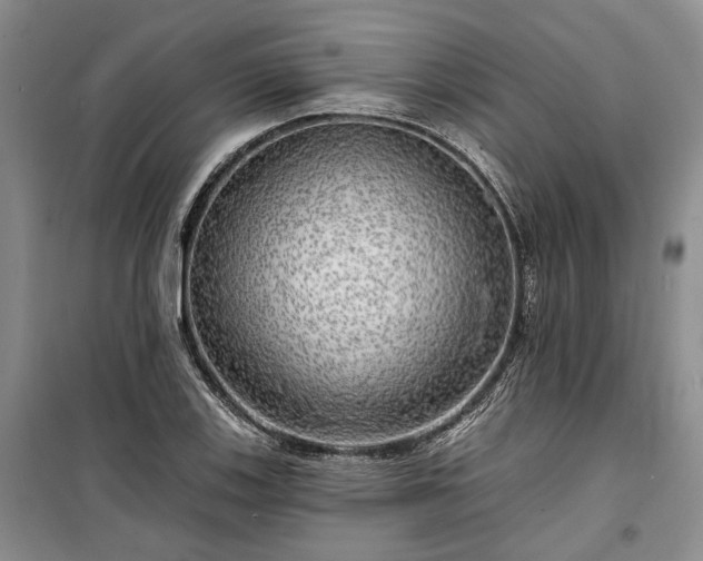 X0000100371123200806131031