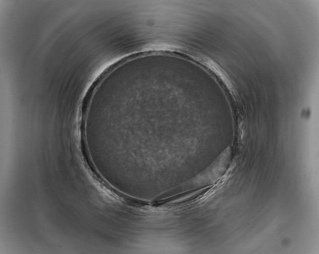 X0000100371124200806131031