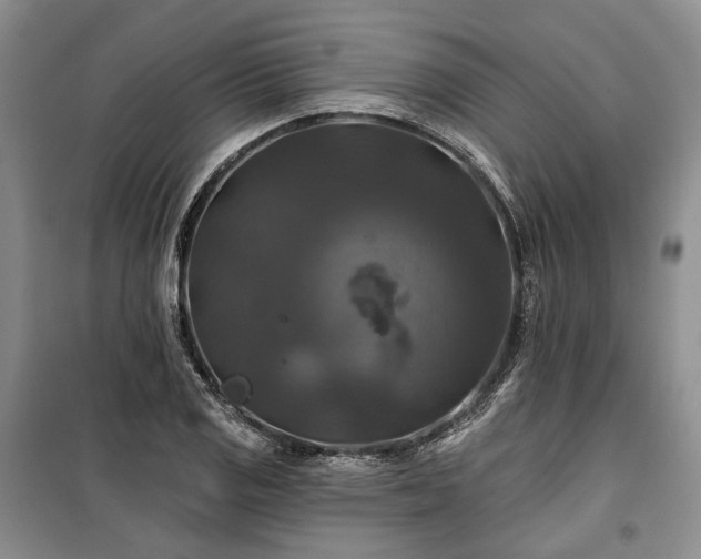 X0000100371125200806131031