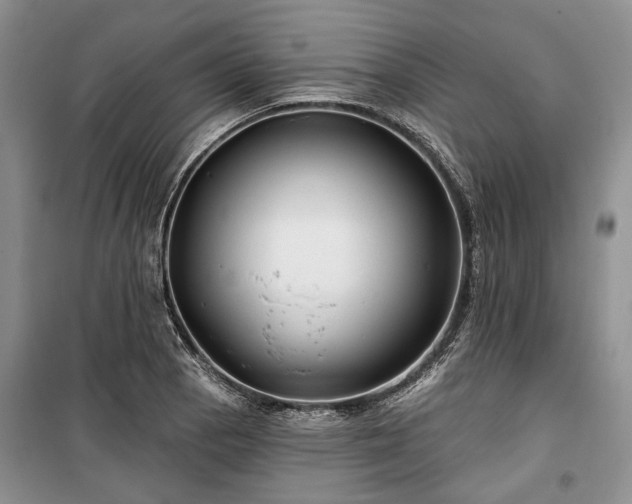 X0000100371129200806131031