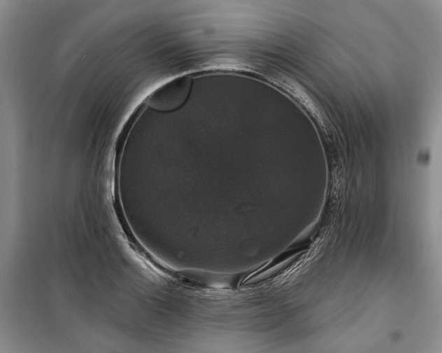 X0000100371132200806131031