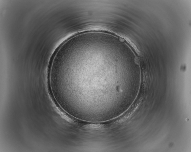 X0000100371134200806131031