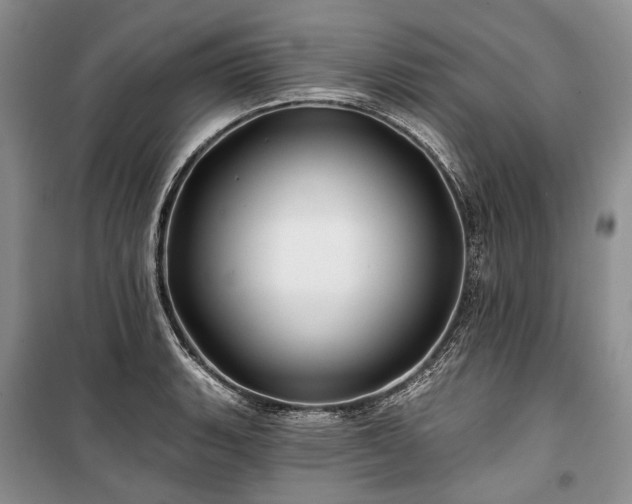 X0000100371135200806131031