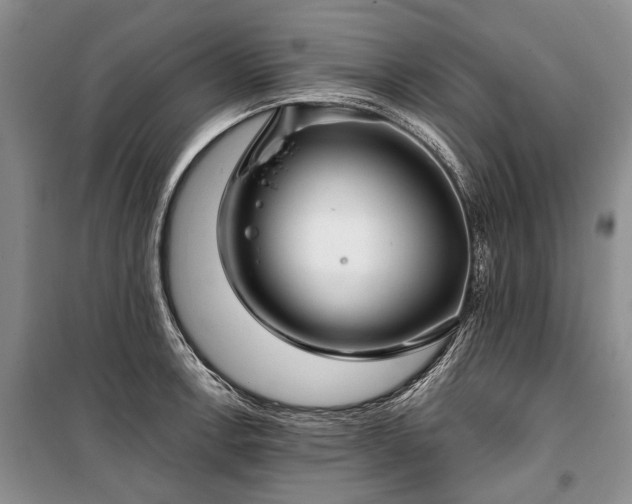 X0000100371138200806131031