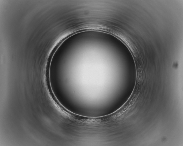 X0000100371139200806131031