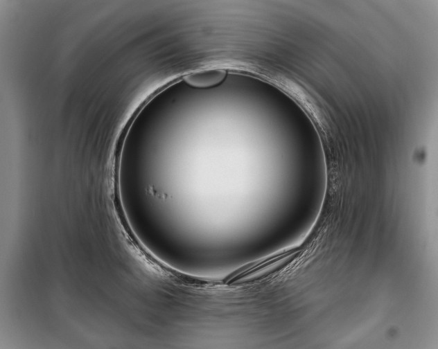 X0000100371140200806131031