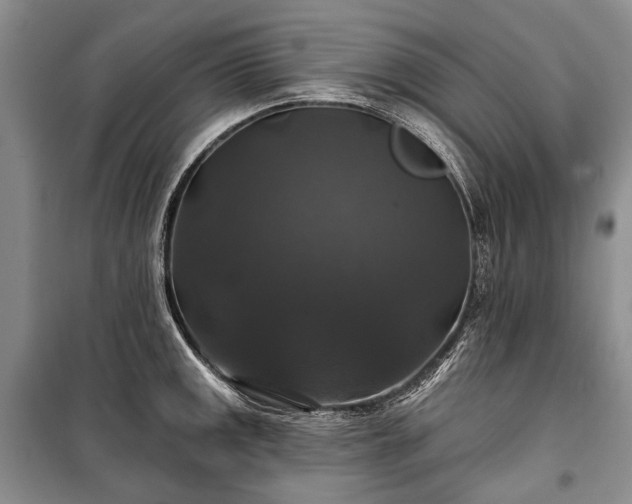 X0000100371141200806131031