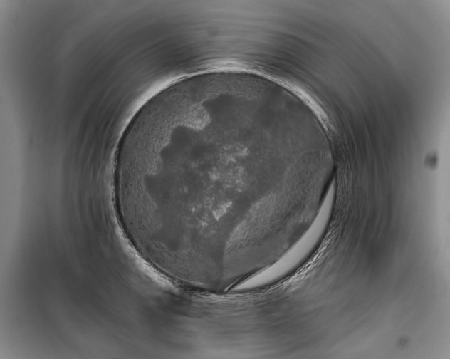 X0000100371142200806131031