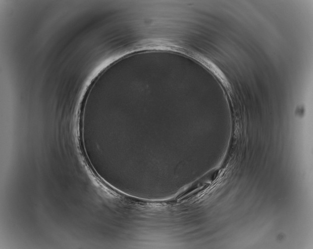 X0000100371144200806131031