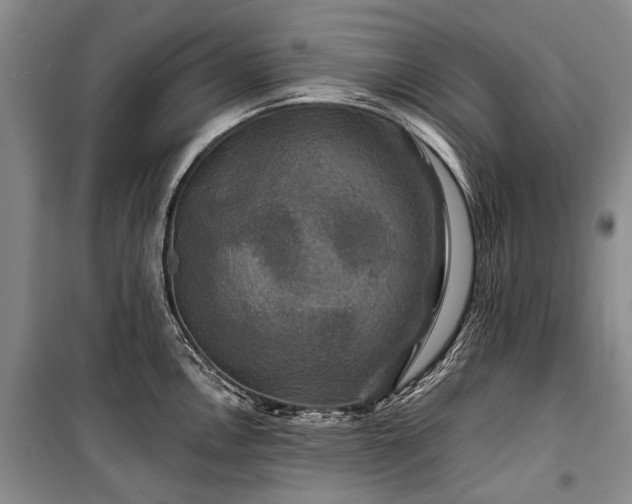 X0000100371146200806131031