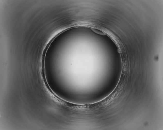 X0000100371147200806131031