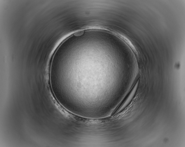 X0000100371148200806131031