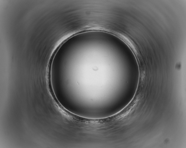 X0000100371149200806131031