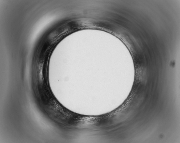 X0000100371150200806131031