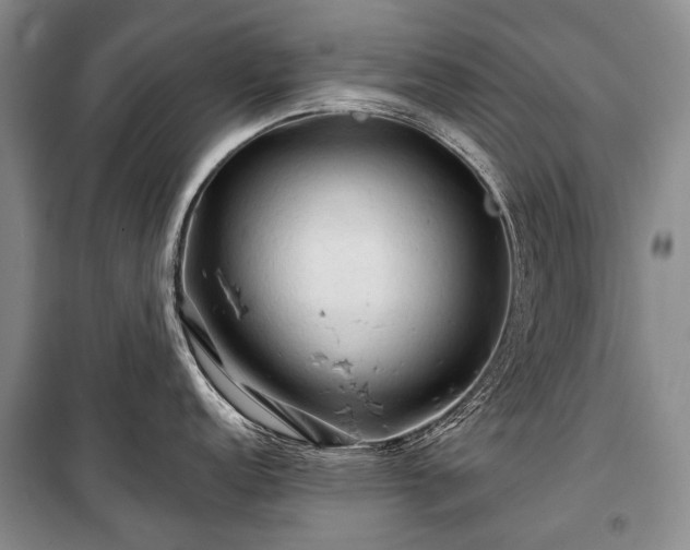 X0000100371152200806131031