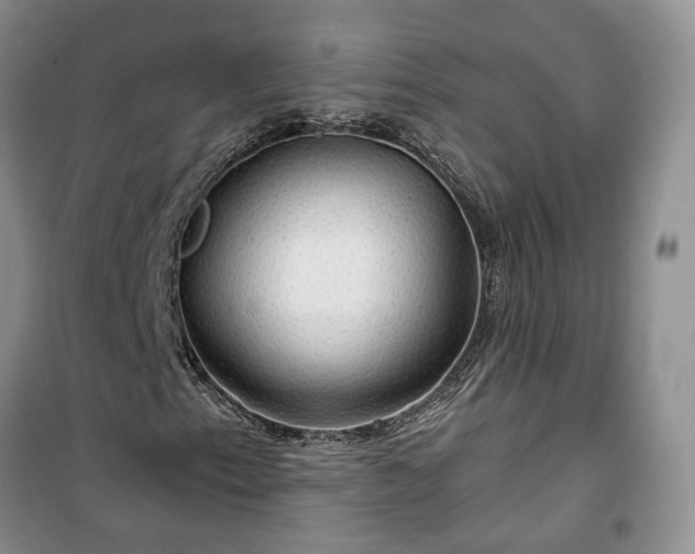 X0000100371153200806131031