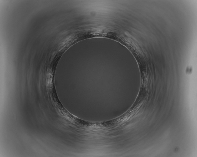 X0000100371154200806131031