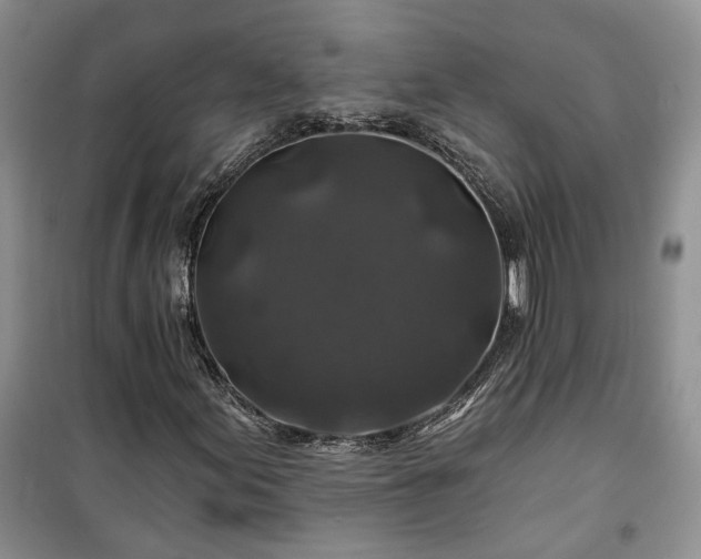 X0000100371155200806131031