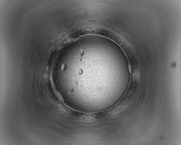 X0000100371156200806131031