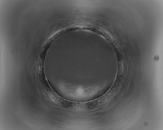 X0000100371158200806131031