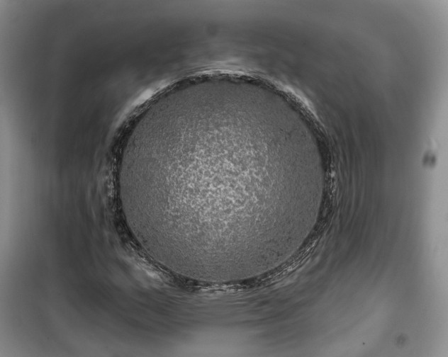 X0000100371159200806131031