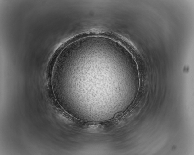 X0000100371160200806131031