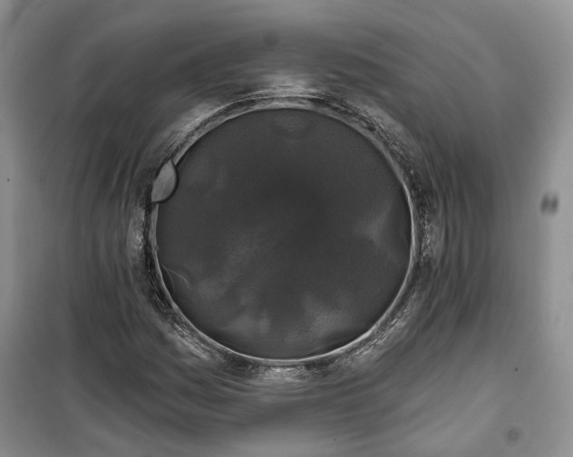 X0000100371161200806131031