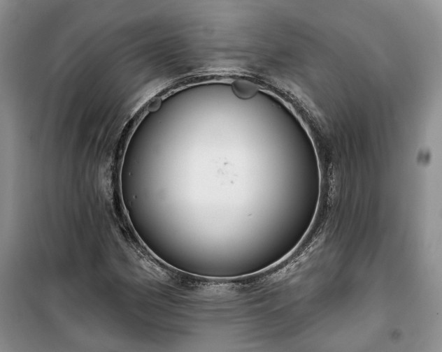 X0000100371162200806131031