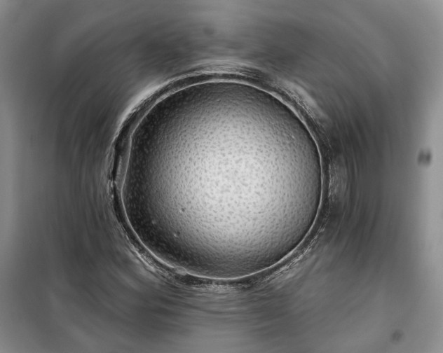 X0000100371164200806131030